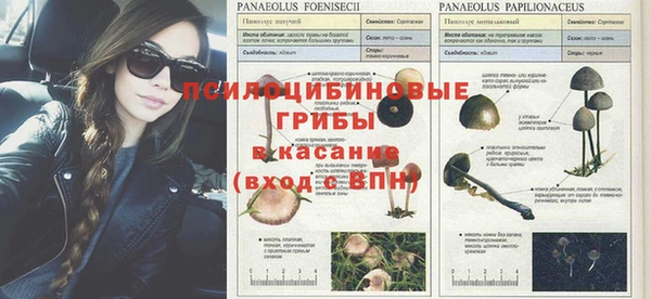 экстази Алзамай